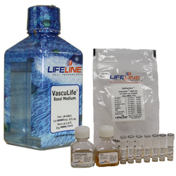 VascuLife® VEGF-Mv Endothelial
