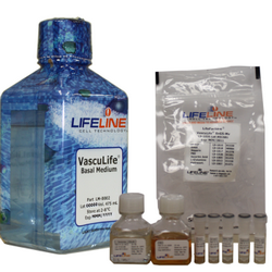 VascuLife® EnGS-Mv Microvascul