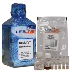 OcuLife ™ Epithelial Medium C